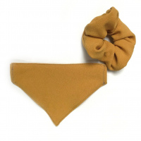 Pawtner-Set Gelb